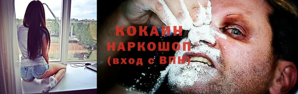 сатива Магадан