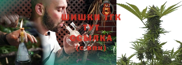 прущие грибы Алагир