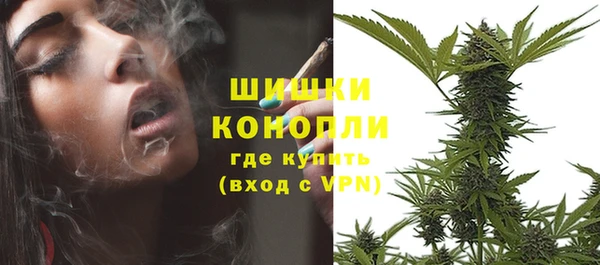 сатива Магадан