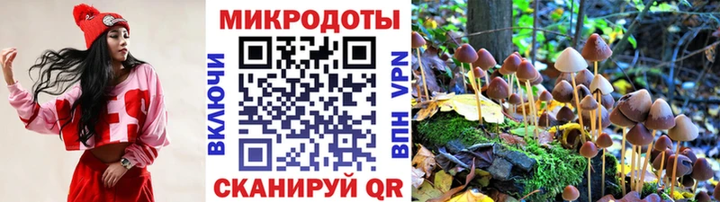 Галлюциногенные грибы мицелий как найти наркотики Тогучин